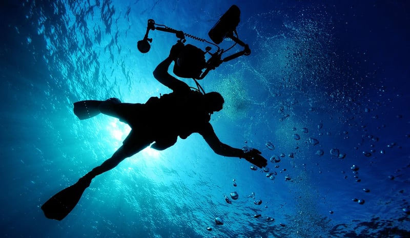 Diving Expeditions